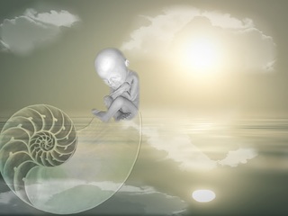 51e8d7454252b114a6dd8c74c62a3463143ad8e35b51734f732a