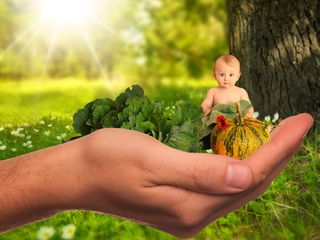 54e0d5414a5aaf14ea898175ce29357d083edbe35559714e722b78