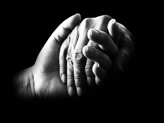 50e9dc474254b114a6dd8c74c62a3463143ad8e35b537448772b