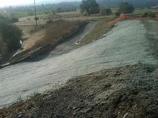 7407925904 5fb11973d3 o