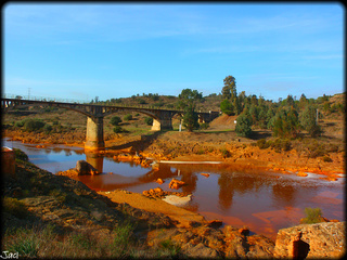 11844143503 9b909f4915 o